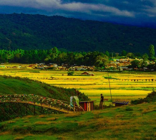 Ziro-Talley Valley Trek